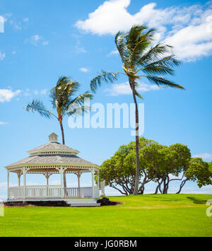 Ein Blick auf den Pavillon und luftigen Kokosnuss-Palmen in Turtle Pointe im Fairmont Orchid auf der Kohala Küste, Hawaii (Hawaii). Stockfoto
