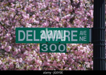 Delaware Ave Straße unterzeichnen in Washington D.C. mit Kirschblüten im Hintergrund Stockfoto