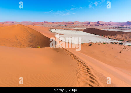 Die malerische Sossusvlei und Deadvlei, Ton und Salzpfanne, umgeben von majestätischen Dünen. Namib-Naukluft-Nationalpark, wichtigsten Besucherattraktion und tra Stockfoto