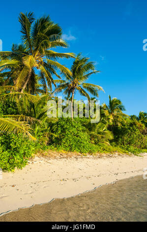 Weißer Sandstrand, Ruderer Bay, Yasawas, Fiji, Südsee Stockfoto