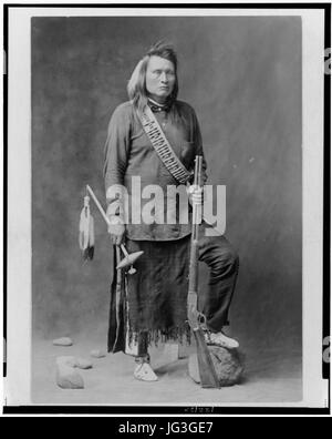 Ihn-Mim-Mox-Mox (gelbe Wolf), ein Krieger der Nez Perce (1877) Stockfoto