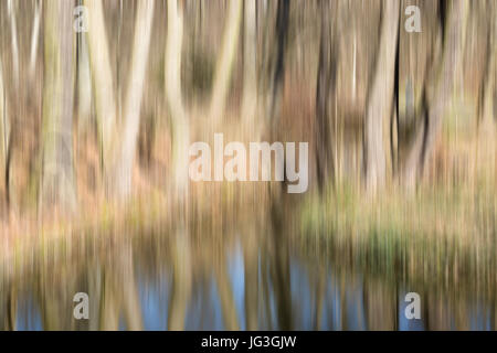 Abstrakte Bewegung verwischt Bäume Stockfoto