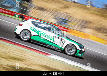 Seat Leon Cupra Cup, verschwommen Alberto Biraghi Auto Motion in Aktion während des Rennens Stockfoto