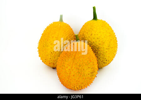 GAC Frucht oder Baby Jackfrucht, Isolated On White Background. Stockfoto