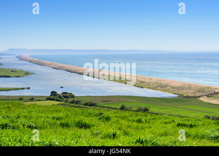 Ansicht der Jurassic Coast aus dem Aussichtspunkt an Abbotsbury subtropische Gärten, Abbotsbury, Dorset, England, UK, Europa Stockfoto