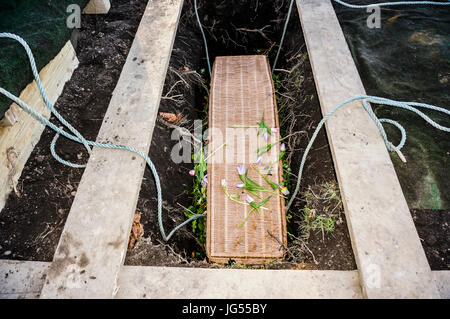 Ein wicker Sarg, die gerade in ein neues Grab gesenkt wurde, nach einer Beerdigung auf dem Friedhof in England, Großbritannien. Stockfoto