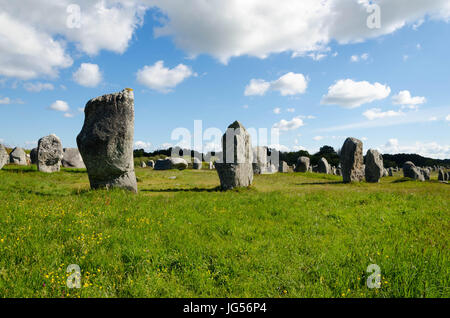 Alignement de menhirs en Bretagne Stockfoto