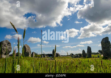 Alignement de menhirs en Bretagne Stockfoto