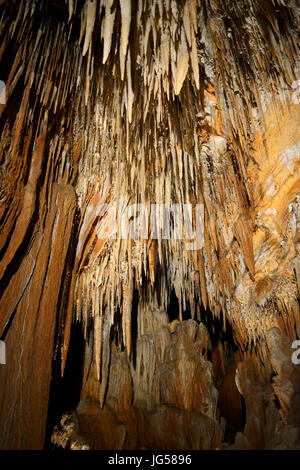 Felsformation im King Solomons Höhle in der Nähe von Liena im nördlichen Tasmanien, Australien Stockfoto