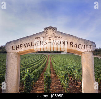 Chevaliers-Montrachet Steinbogen Eingang framing Premier Cru Bourgogne Chardonnay vineyard Puligny-Montrachet, Bourgogne Côte d'Or, Frankreich. Stockfoto