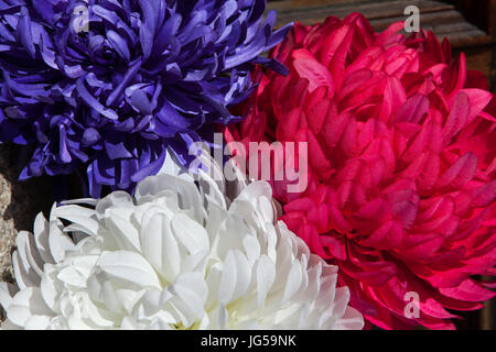 Roten, blauen und weißen Plastikblumen (Callistephus Chinensis). Stockfoto