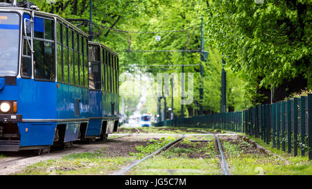 Blaue Straßenbahn Fahrt durch grüne Gasse in europäischen Stadt von Krakau, Polen Stockfoto