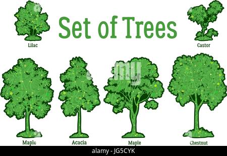 Pflanzen, Bäume und Sträucher gesetzt Stock Vektor