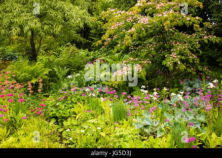 Teil des Gartens Stream an Aberglasney, Carmarthenshire, Wales, UK Stockfoto