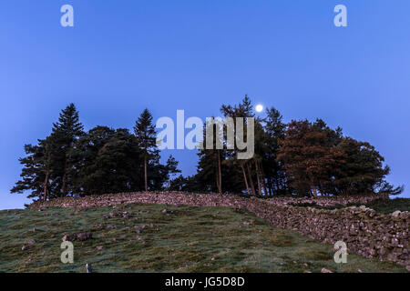 Eine abnehmende Mondsichel beleuchtet den alten Baum bedeckt Grabhügel von Kirkcarrion, Teesdale, County Durham, Großbritannien Stockfoto