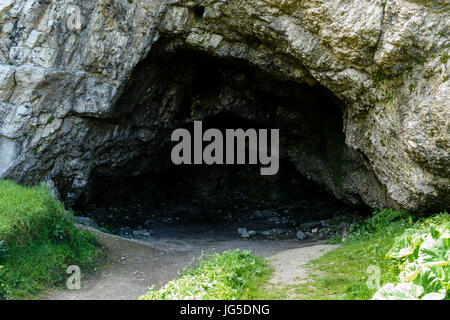 Küste Höhle in Ballintoy Harbour.  Archaeogists haben Beweise ausgegraben, sei es eine prähistorische Behausung für Höhlenmenschen. Stockfoto