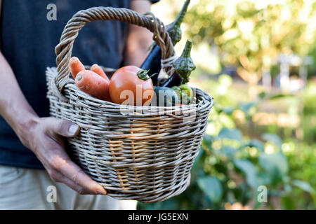 Closeup von einem kaukasischen Jüngling mit einem rustikalen Korb voll mit Gemüse frisch gesammelt in einem Bio-Obstgarten Stockfoto