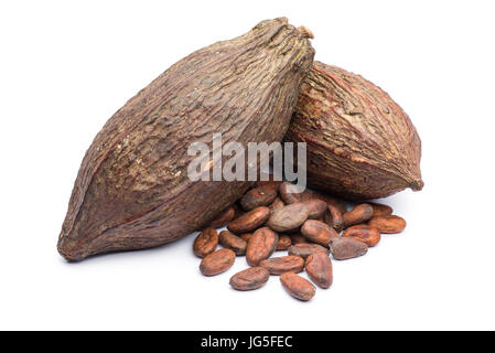 Haufen von Kakaobohnen mit zwei Kakaofrucht auf weißem Hintergrund Stockfoto