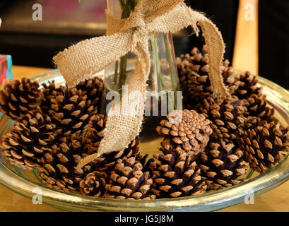 Einige Tannenzapfen, angeordnet in einer Schale um den Boden einer Glas-Vase Stockfoto
