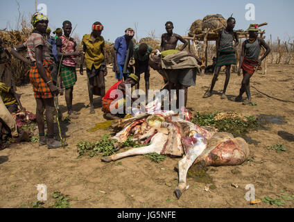 Stammes-Leute kochen eine Kuh während der Zeremonie stolz Ochsen in Dassanech Stamm, Turkana County, Omorate, Äthiopien Stockfoto