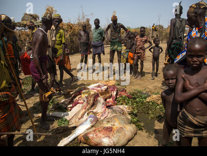 Stammes-Leute kochen eine Kuh während der Zeremonie stolz Ochsen in Dassanech Stamm, Omo-Tal, Omorate, Äthiopien Stockfoto