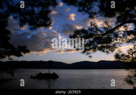 Ponderosa Pine Silhouette, Canyon Lake Ferry, Montana Stockfoto