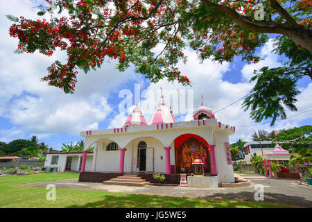 Grand Baie, Mauritius - 10. Januar 2017. Ein Hindu-Tempel mit extravaganten Baum in Port Louis, Mauritius. Laut der 2011 ist der Hinduismus die großen relig Stockfoto