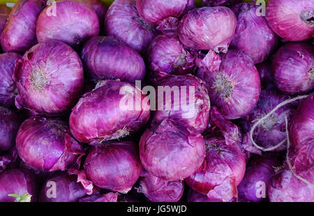 Lila Zwiebeln zum Verkauf auf dem ländlichen Markt in Grand Baie, Mauritius. Stockfoto