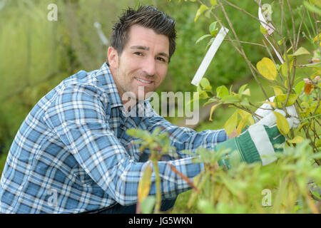hübscher junger Mann Gärtner Landschaftsbau und Pflege der Pflanzen Stockfoto