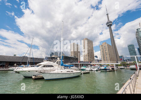 Toronto, Kanada - 26. Juni 2017: viele Yachten in Toronto Marina mit CN Tower im Hintergrund Stockfoto