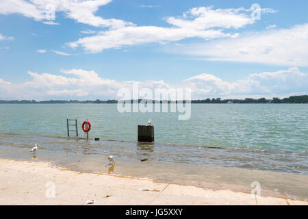 Hochwasser in Lake Ontario in Toronto Harbourfront im Juni 2017 nach Frühjahrshochwasser Stockfoto