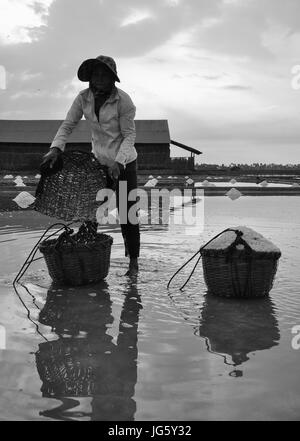 Kampot, Kambodscha - 25. Januar 2012. Eine Frau Salz auf dem Feld in Kampot, Kambodscha zu sammeln. Stockfoto