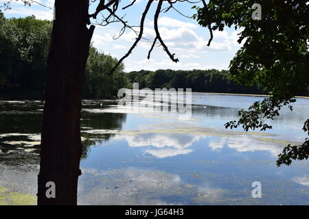 Ein Spaziergang rund Coate Wasser, site-seeing Stockfoto