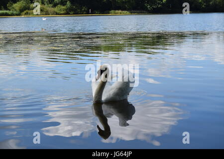 Ein Spaziergang rund Coate Wasser, site-seeing Stockfoto