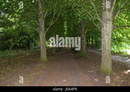 Ein Spaziergang rund Coate Wasser, site-seeing Stockfoto