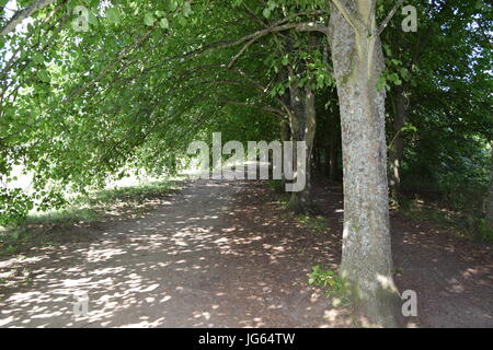 Ein Spaziergang rund Coate Wasser, site-seeing Stockfoto