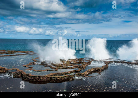 Mapu'a "eine Vaea Lunker, Tongatapu, Tonga, Südpazifik Stockfoto