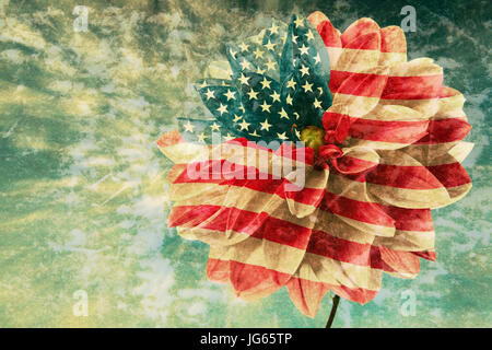 Blume Dahlie als Flagge der USA in der Größenordnung von alten Zeit Karte Stockfoto