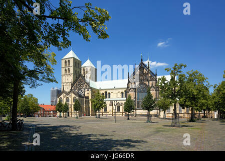 Kathedralkirche, Sankt-Paulus-Dom bin Domplatz von Münster, Westfalen, Nordrhein-Westfalen Stockfoto