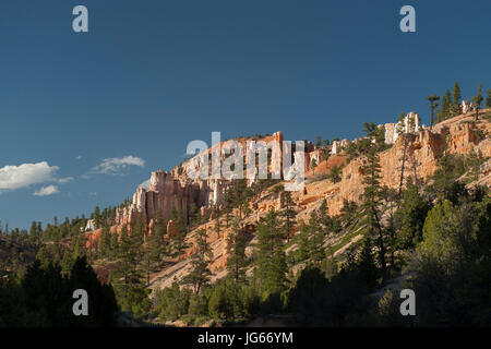 Säulen von Claron Bildung Rock in einem Seitencanyon des Paria River, im unteren Teil des Bryce Canyon National Park, Utah Stockfoto