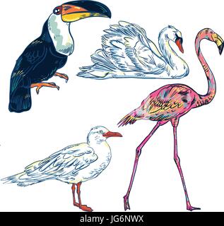 Super Set von niedlichen Cartoon Vögel Stock Vektor