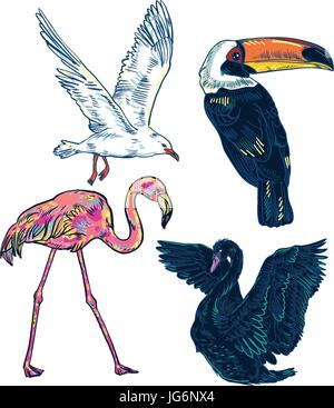 Super Set von niedlichen Cartoon Vögel Stock Vektor