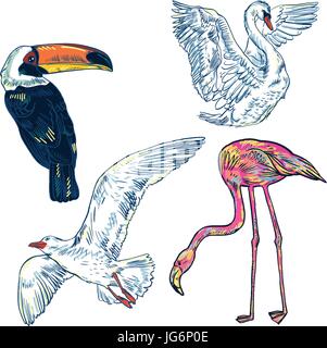 Super Set von niedlichen Cartoon Vögel Stock Vektor