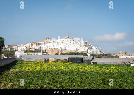 Panorama der weißen Stadt Ostuni, Apulien, Italien Stockfoto