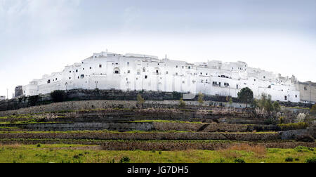 Panorama der weißen Stadt Ostuni, Apulien, Italien Stockfoto