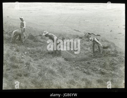 Ansicht der drei Männer graben mit Spitzhacken zu graben zwei Moai mit einem jungen watching3B Rano Raraku OcG.T.1462 Mana Expedition zur Osterinsel British Museum Stockfoto
