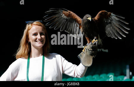 IMOGEN DAVIS, Rufus, den WIMBLEDON HAWK TAUBEN SCARER, die Wimbledon Championships 2017, die Wimbledon Championships 2017, 2017 Stockfoto