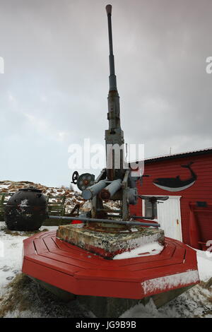 Flugabwehr-Maschinengewehr zusammen mit anderen Waffen im Garten von einem exzentrisch dekorierte rot-weißen Stadthaus in Nordmela-Andøya Insel gelegt-Lo Stockfoto