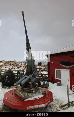 Flugabwehr-Maschinengewehr zusammen mit anderen Waffen im Garten von einem exzentrisch dekorierte rot-weißen Stadthaus in Nordmela-Andøya Insel gelegt-Lo Stockfoto