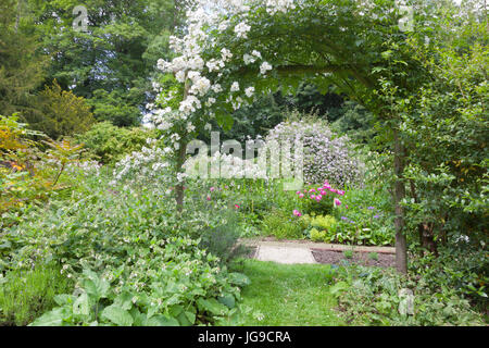 Bunte Sommergarten mit einer weißen rose Bogen, Ferienhaus Blumen in voller Blüte, grüne Sträucher und Bäume. Stockfoto